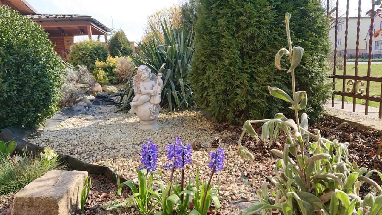 Letnia Willa Jacuzzi & Sauna Darlowo Exterior foto